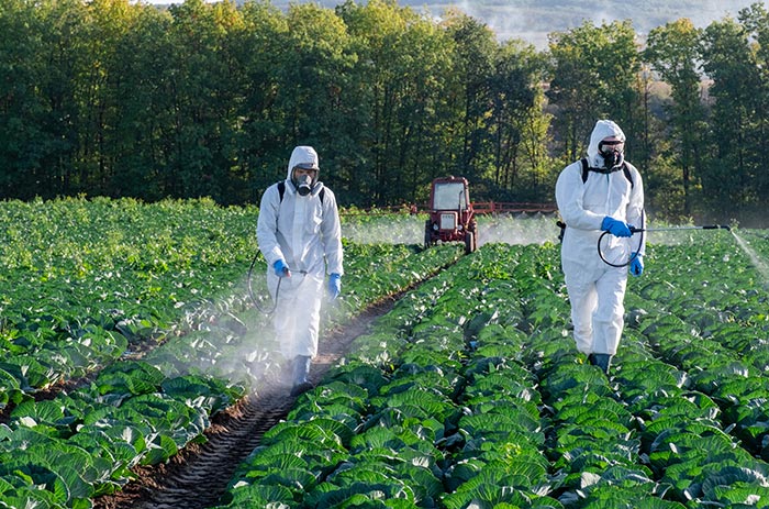 Exterminateur spécialisé dans les méthodes non nocives