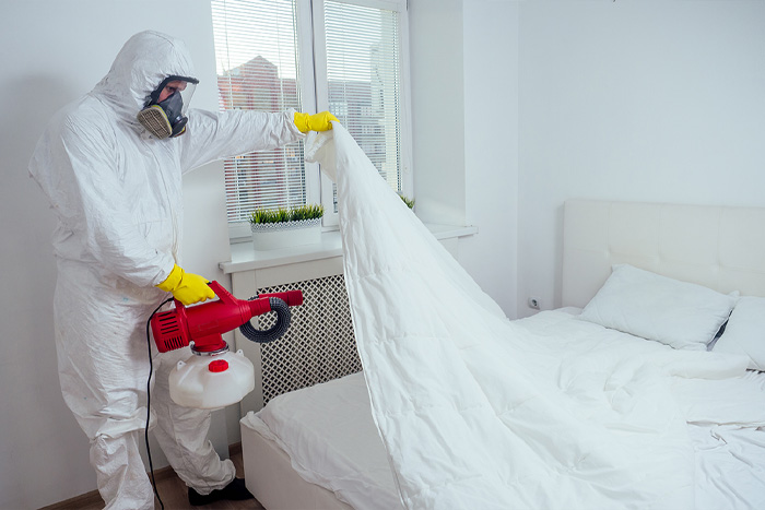 Exterminateur utilisant un canon à chaleur pour effectuer un traitement thermique contre les punaises de lit dans une chambre.